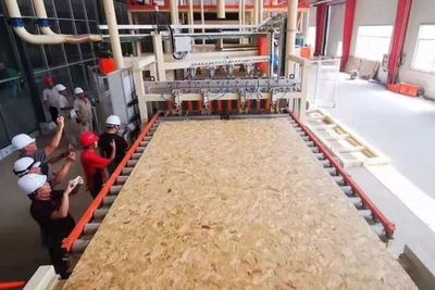 單縣:國(guó)際領(lǐng)先!世界上最全面板材種類,打造全球第一薄